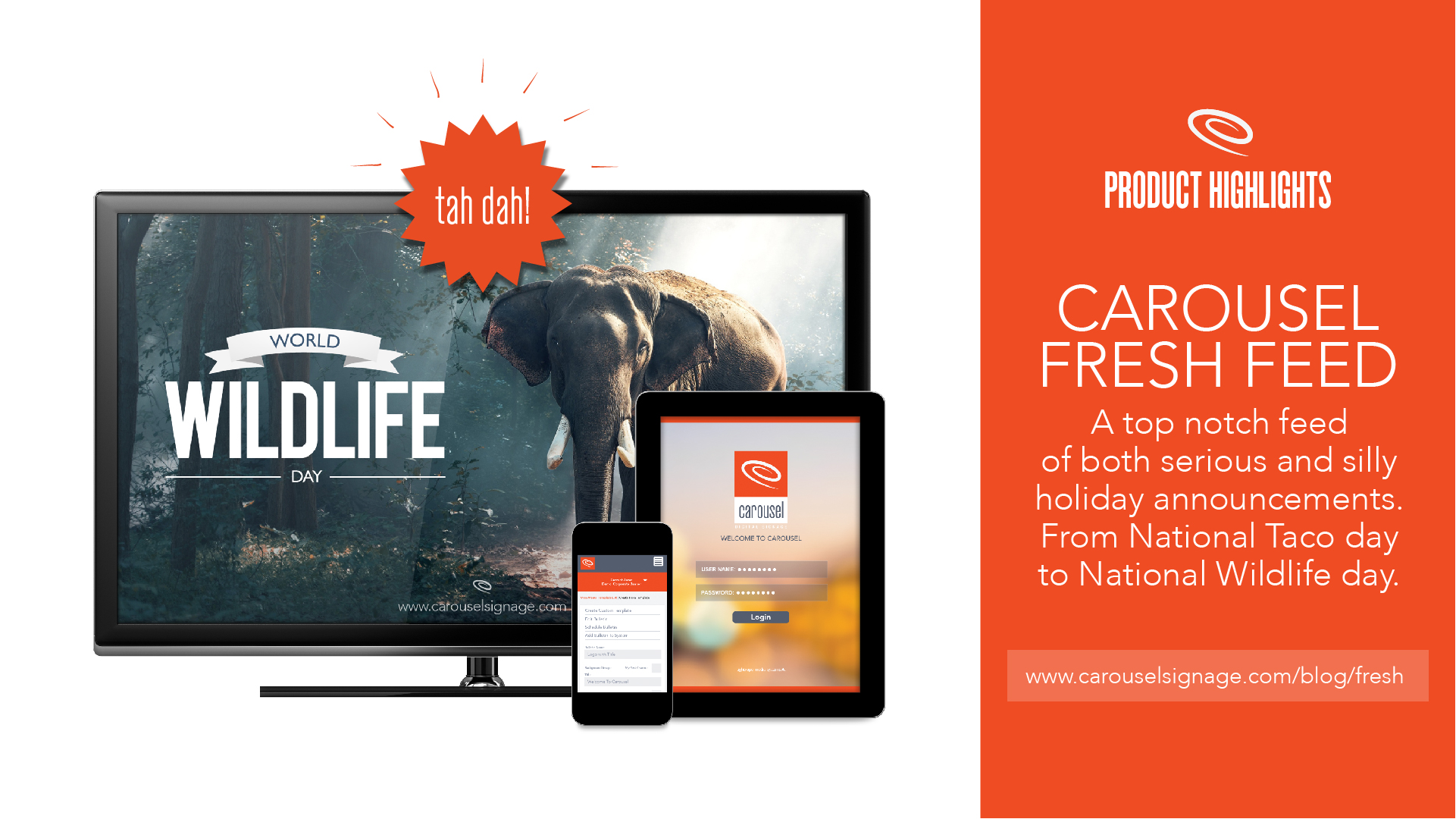 Carousel Digital Signage Product Highlights